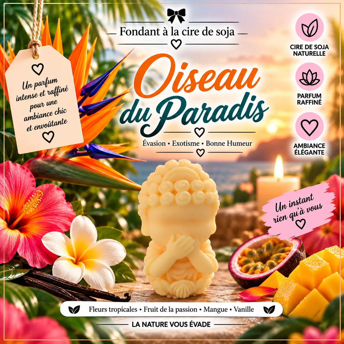 Fondants Parfumés Oiseau du Paradis à la Cire de Soja La Casa Del José