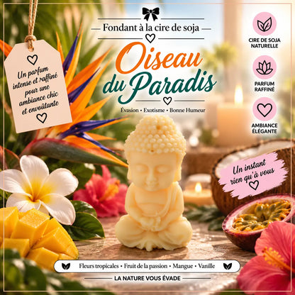 Fondants Parfumés Oiseau du Paradis à la Cire de Soja La Casa Del José