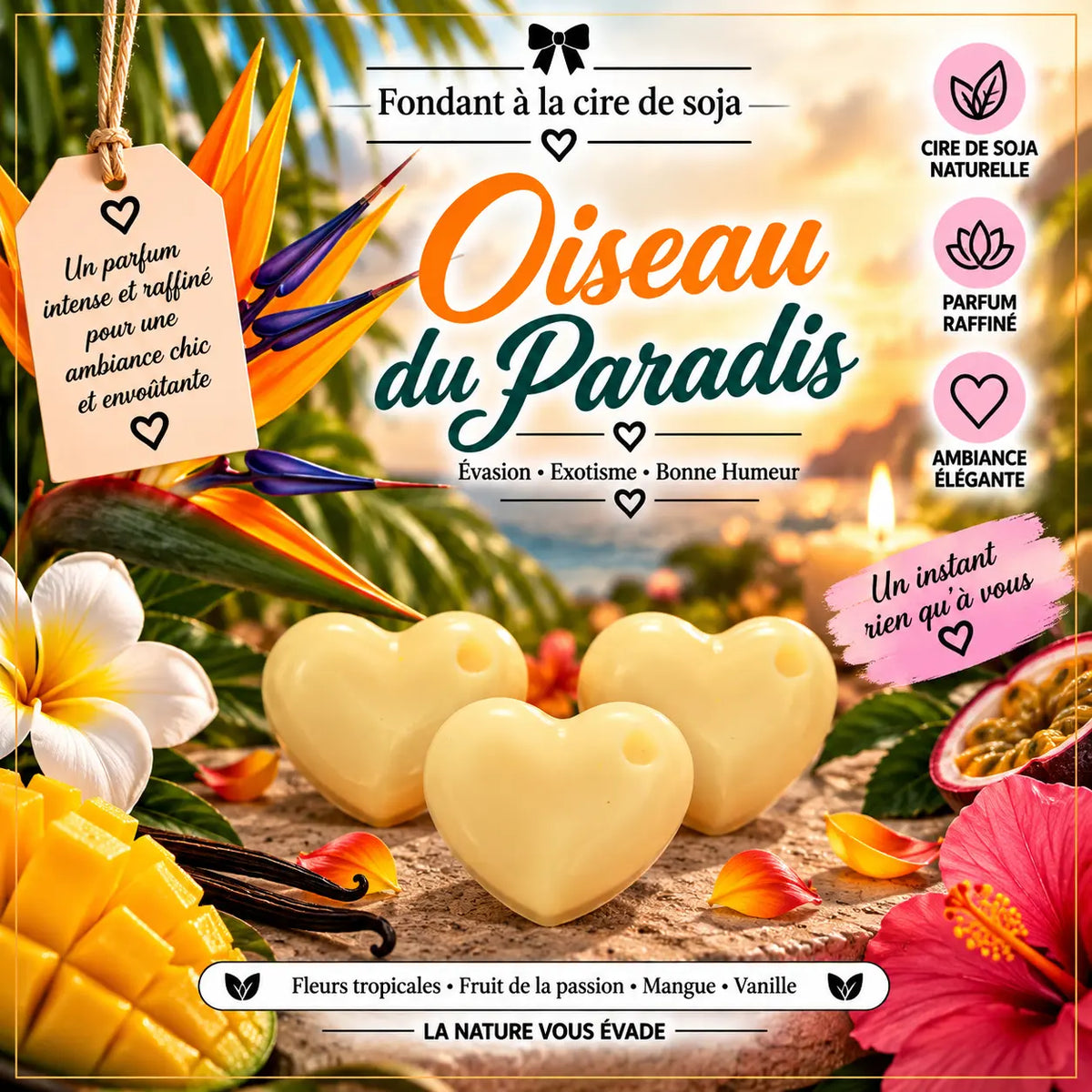 Fondants Parfumés Oiseau du Paradis à la Cire de Soja La Casa Del José