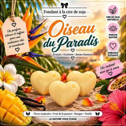 Fondants Parfumés Oiseau du Paradis à la Cire de Soja La Casa Del José
