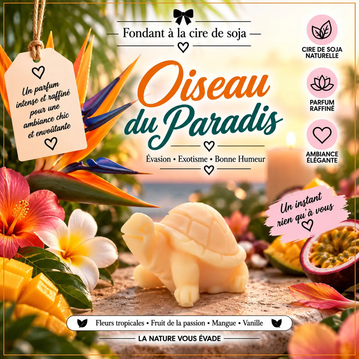 Fondants Parfumés Oiseau du Paradis à la Cire de Soja La Casa Del José