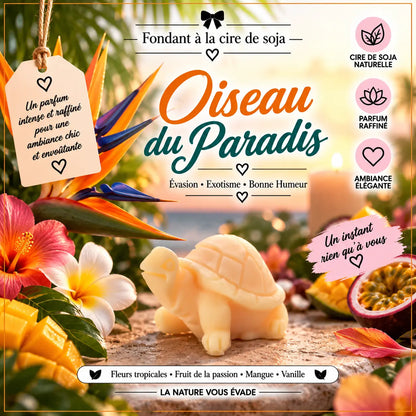 Fondants Parfumés Oiseau du Paradis à la Cire de Soja La Casa Del José