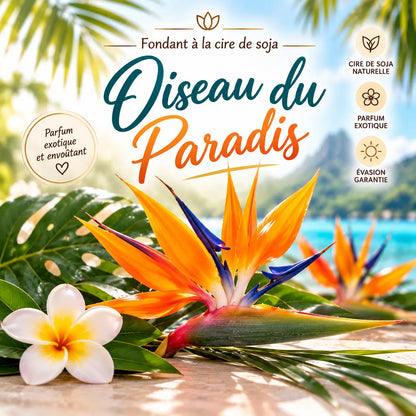Fondants parfumés Oiseau du Paradis en cire de soja artisanaux plusieurs modèles