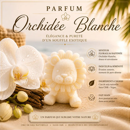 Fondants parfumés Orchidée Blanche à la cire de soja