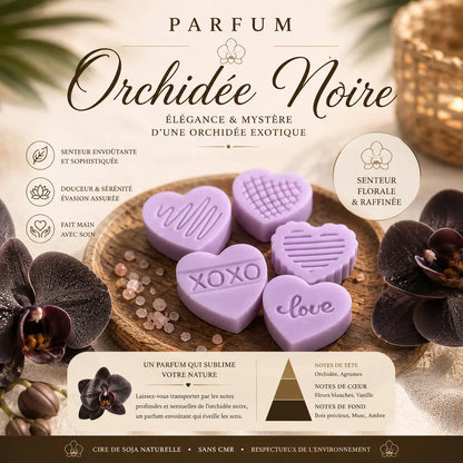 Fondants Parfumés Orchidée Noire Cire de Soja La Casa Del José