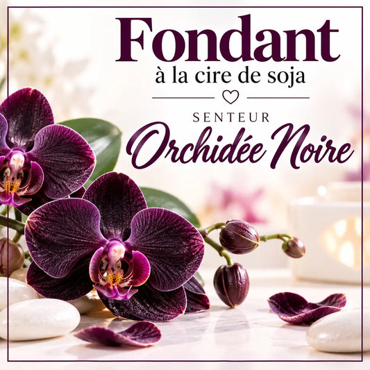Fondants Parfumés Orchidée Noire à la Cire de Soja La Casa Del José