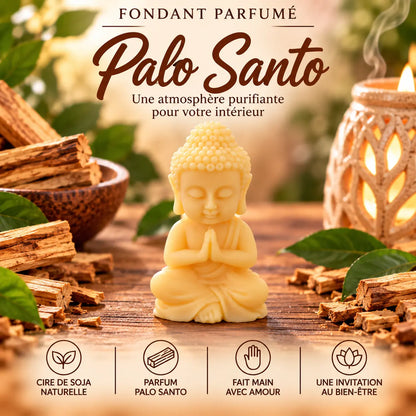 Fondants Parfumés Palo Santo à la Cire de Soja Canouto