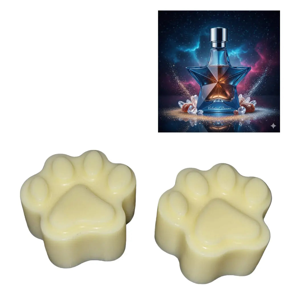 Fondants parfum dupe Éclat Céleste Canouto