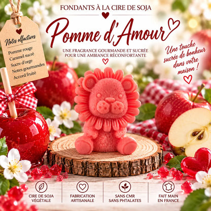 Fondants Parfumés Pomme d’Amour à la Cire de Soja La Casa Del José