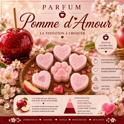 Fondants parfumés Pomme d’Amour à la cire de soja