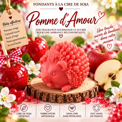 Fondants parfumés Pomme d’Amour en cire de soja artisanaux plusieurs modèles