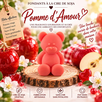 Fondants parfumés Pomme d’Amour en cire de soja artisanaux plusieurs modèles