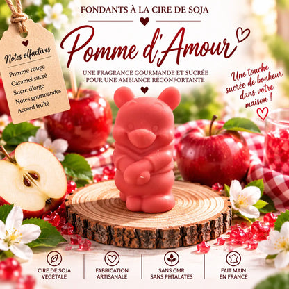 Fondants parfumés Pomme d’Amour en cire de soja artisanaux plusieurs modèles