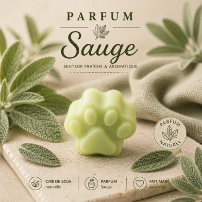 Fondants parfumés sauge à la cire de soja