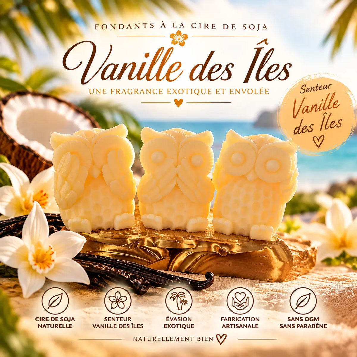 Fondants Parfumés Vanille des Îles Cire de Soja La Casa Del José