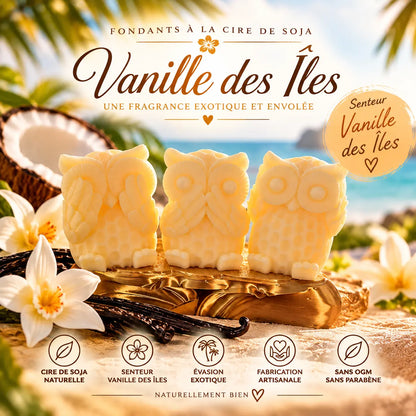 Fondants Parfumés Vanille des Îles Cire de Soja La Casa Del José