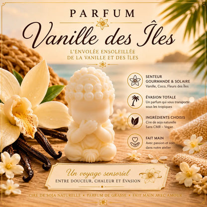 Fondants parfumés Vanille des Îles à la cire de soja