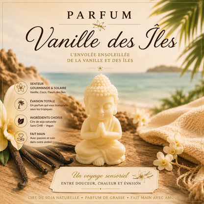 Fondants parfumés Vanille des Îles à la cire de soja
