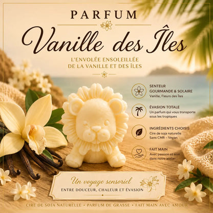 Fondants parfumés Vanille des Îles à la cire de soja