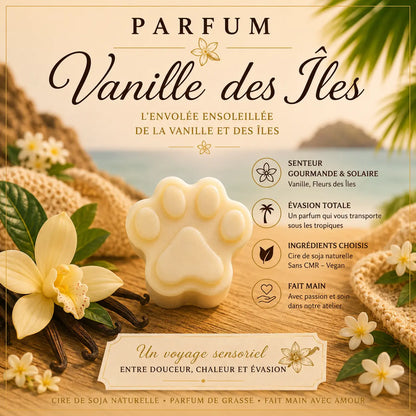Fondants parfumés Vanille des Îles à la cire de soja