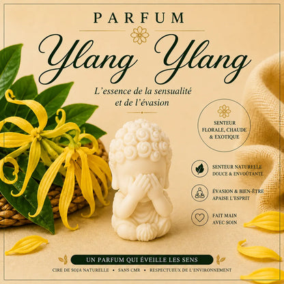 Fondants parfumés Ylang-Ylang à la cire de soja