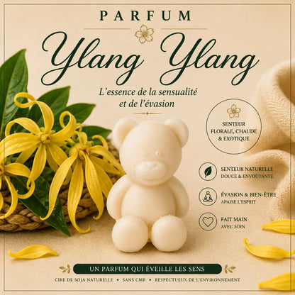 Fondants parfumés Ylang-Ylang à la cire de soja