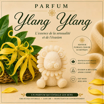 Fondants Parfumés Ylang-Ylang Cire de Soja La Casa Del José