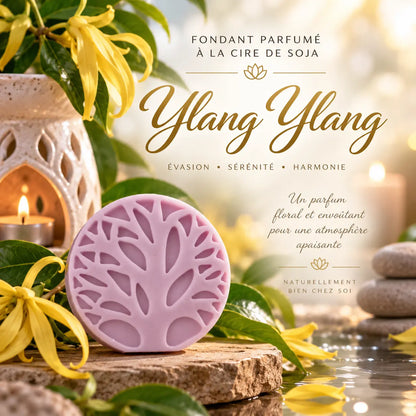 Fondants parfumés Ylang-Ylang en cire de soja artisanaux plusieurs modèles