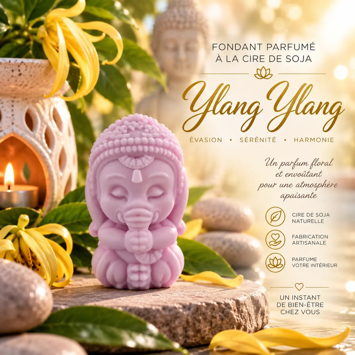 Fondants parfumés Ylang-Ylang en cire de soja artisanaux plusieurs modèles