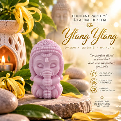 Fondants parfumés Ylang-Ylang en cire de soja artisanaux plusieurs modèles